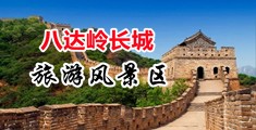 人兽内射第一页中国北京-八达岭长城旅游风景区